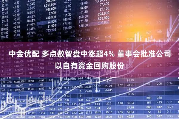 中金优配 多点数智盘中涨超4% 董事会批准公司以自有资金回购股份
