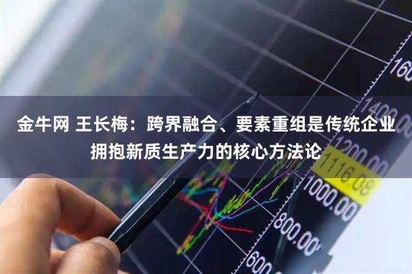 金牛网 王长梅：跨界融合、要素重组是传统企业拥抱新质生产力的核心方法论